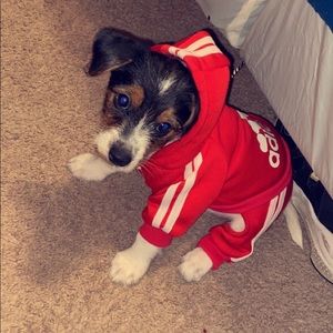 Meet your Posher, Raven